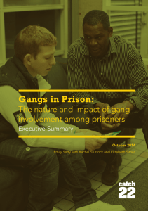 Gangs in Prison