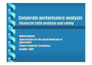 Corporate performance - lecture 10102007