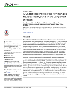 APOE Stabilization by Exercise Prevents Aging Neurovascular