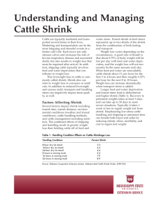 P2577 Understanding and Managing Cattle Shrink