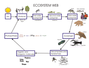 ecosystem web
