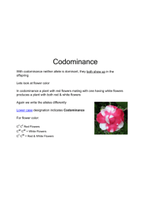 Codominance - Mrs. S Parlee