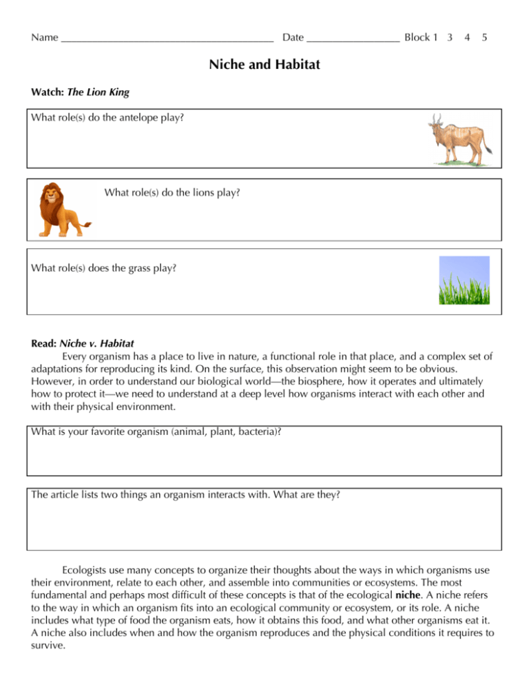 26 Lion King Ecology Worksheet Answer Key Worksheet Information