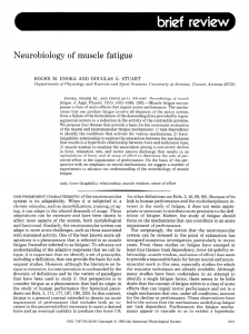 Neurobiology of muscle fatigue