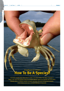 How To Be A Species?