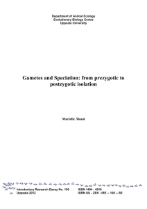 Gametes and Speciation-from prezygotic to postzygotic isolation