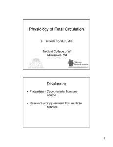 Physiology of Fetal Circulation