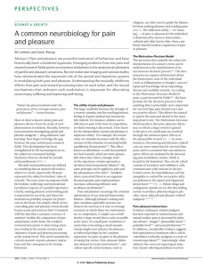 A common neurobiology for pain and pleasure