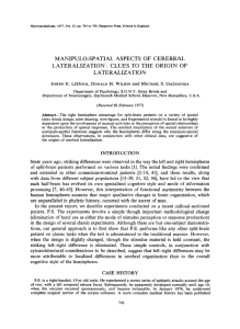 MANIPULO-SPATIAL ASPECTS OF CEREBRAL LATERALIZATION