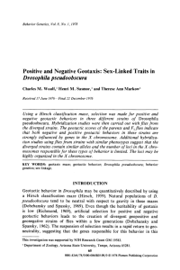Positive and negative geotaxis: Sex-linked traits in <Emphasis Type