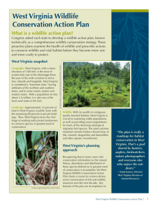 Summary of West Virginia Wildlife Action Plan