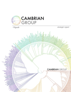 CAMBRIAN GROUP