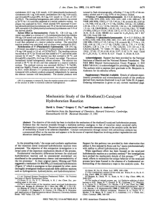 Mechanistic Study of the Rhodium( 1)