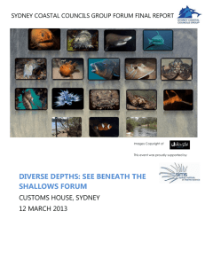 DIVERSE DEPTHS: SEE BENEATH THE SHALLOWS FORUM