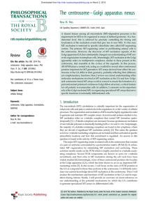 The centrosome–Golgi apparatus nexus