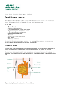 Small bowel cancer