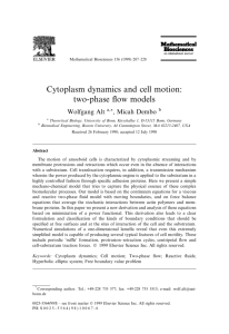 Cytoplasm dynamics and cell motion: two-phase flow models