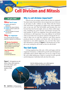Cell Division and Mitosis - Center Grove Community School