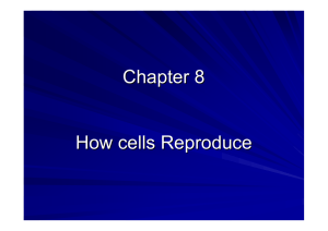 Chapter 8 How cells Reproduce