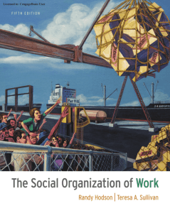 The Social Organization of Work, 5th ed.