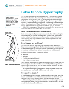 PE1217 Labia Minora Hypertrophy