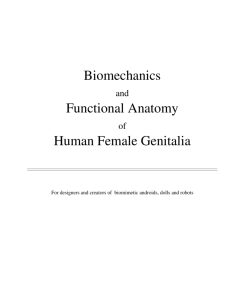 Female Sexual Mechanics