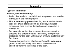 Immunity Types of immunity: Natural passive immunity • Antibodies