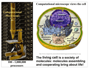 The Computational Microscope - Theoretical Biophysics Group