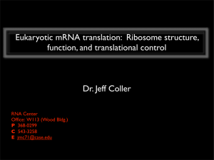 Eukaryotic mRNA translation: Ribosome structure, function, and