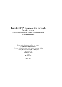 Transfer RNA translocation through the ribosome. - Max