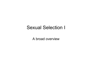 Sexual Selection I