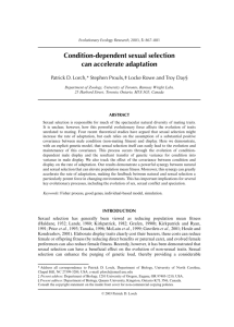 Condition-dependent sexual selection can accelerate