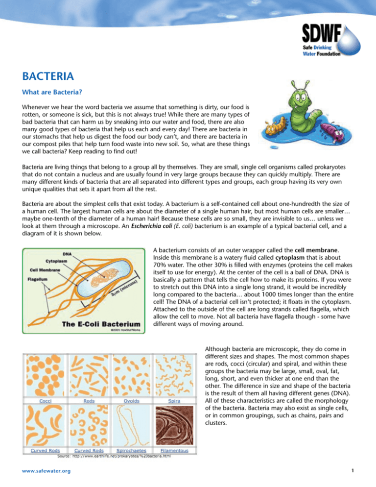 Bacteria Safe Drinking Water Foundation