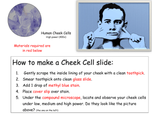 How to make a Cheek Cell slide