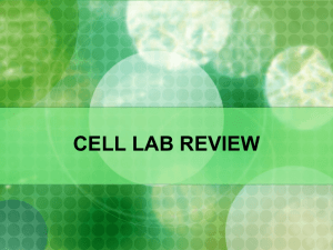 CELL LAB REVIEW 2013
