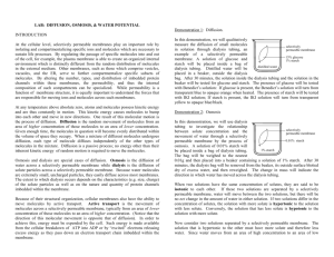 lab: diffusion and osmosis - H