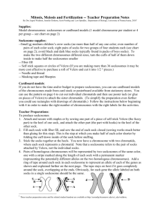 Mitosis, Meiosis and Fertilization -