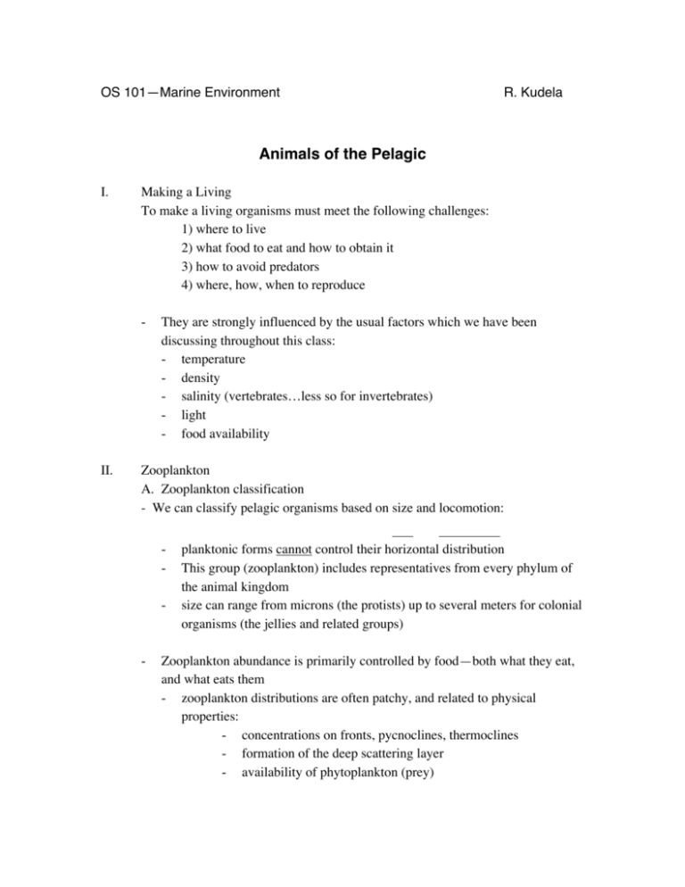 Animals of the Pelagic Notes