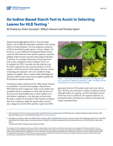 An Iodine-Based Starch Test to Assist in Selecting Leaves for HLB