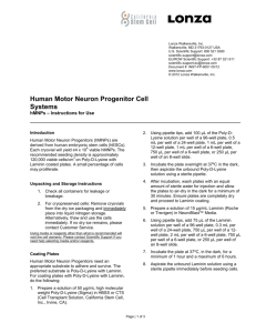 Human Motor Neuron Progenitor Cell Systems