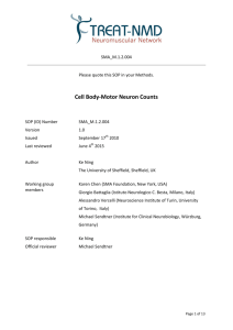 Cell Body-Motor Neuron Counts - Treat-NMD