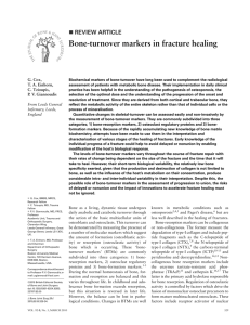 Bone-turnover markers in fracture healing