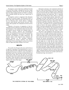 Horse Science: The Digestive System of the Horse Page 3 The