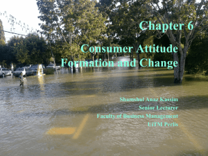 Chapter 6 Attitude Formation and Change