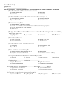 Exam 1 (Practice Test) Anatomy 125
