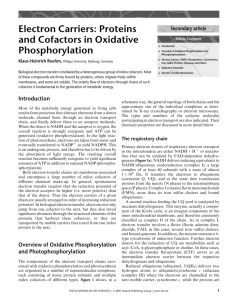 Electron Carriers: Proteins and Cofactors in Oxidative Phosphorylation