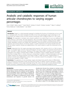 Anabolic and catabolic responses of human articular