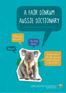 A fair dinkum Aussie Dictionary