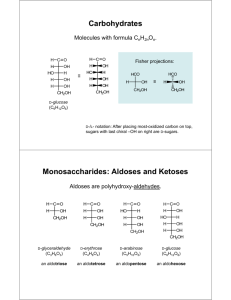 Carbohydrates Monosaccharides: Aldoses and Ketoses