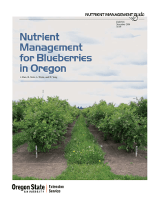 Nutrient Management for Blueberries in Oregon